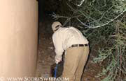 Pest Control Phoenix