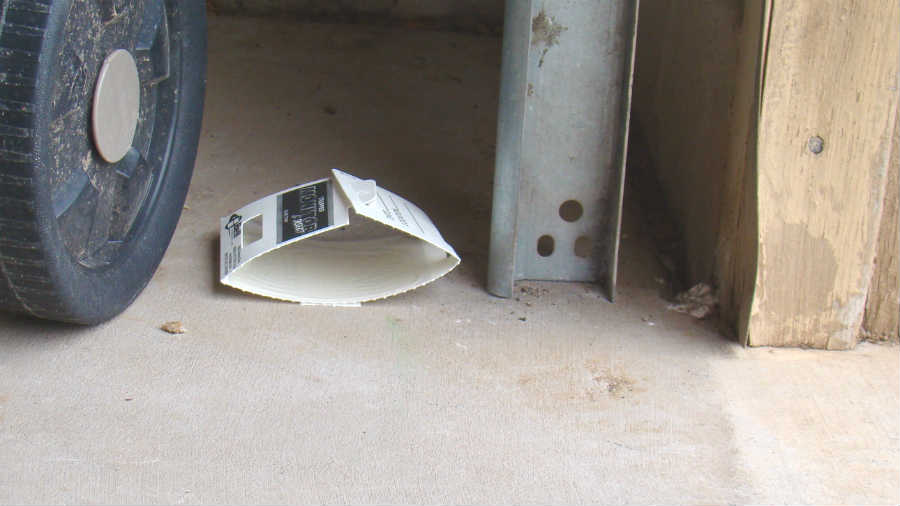 Glue Trap In Garage At Home In Scottsdale, AZ
