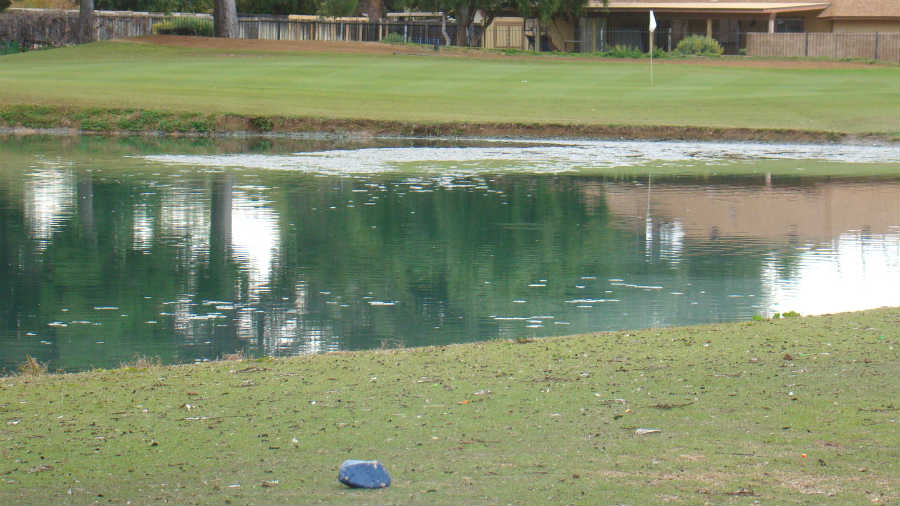 Golf Course In Phoenix, AZ