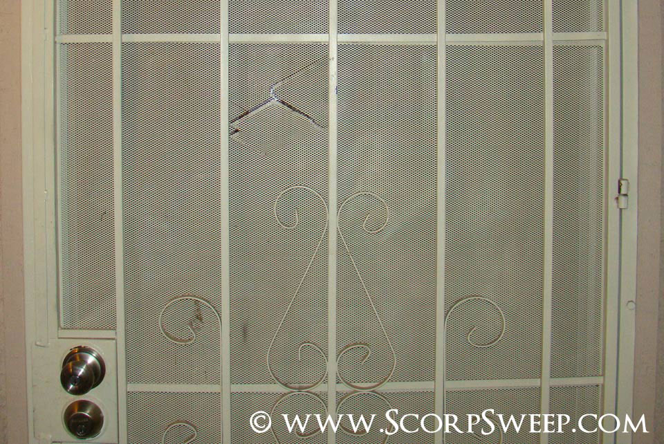Home Sealing For Pest Control A Damaged Screen On Front Door