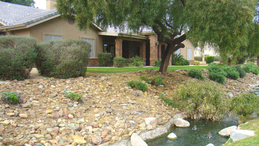 Nice Lawn In Peoria